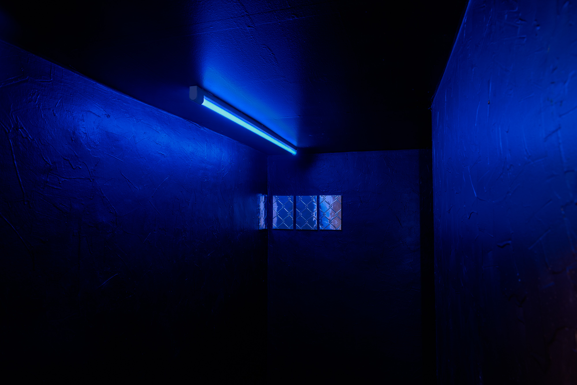 Ausstellungsansicht „Magdalena Berger. Certain Expectation“, 2026. Die Ausstellung wurde im Auftrag des Salzburger Kunstvereins produziert. Foto: kunst-dokumentation.com.