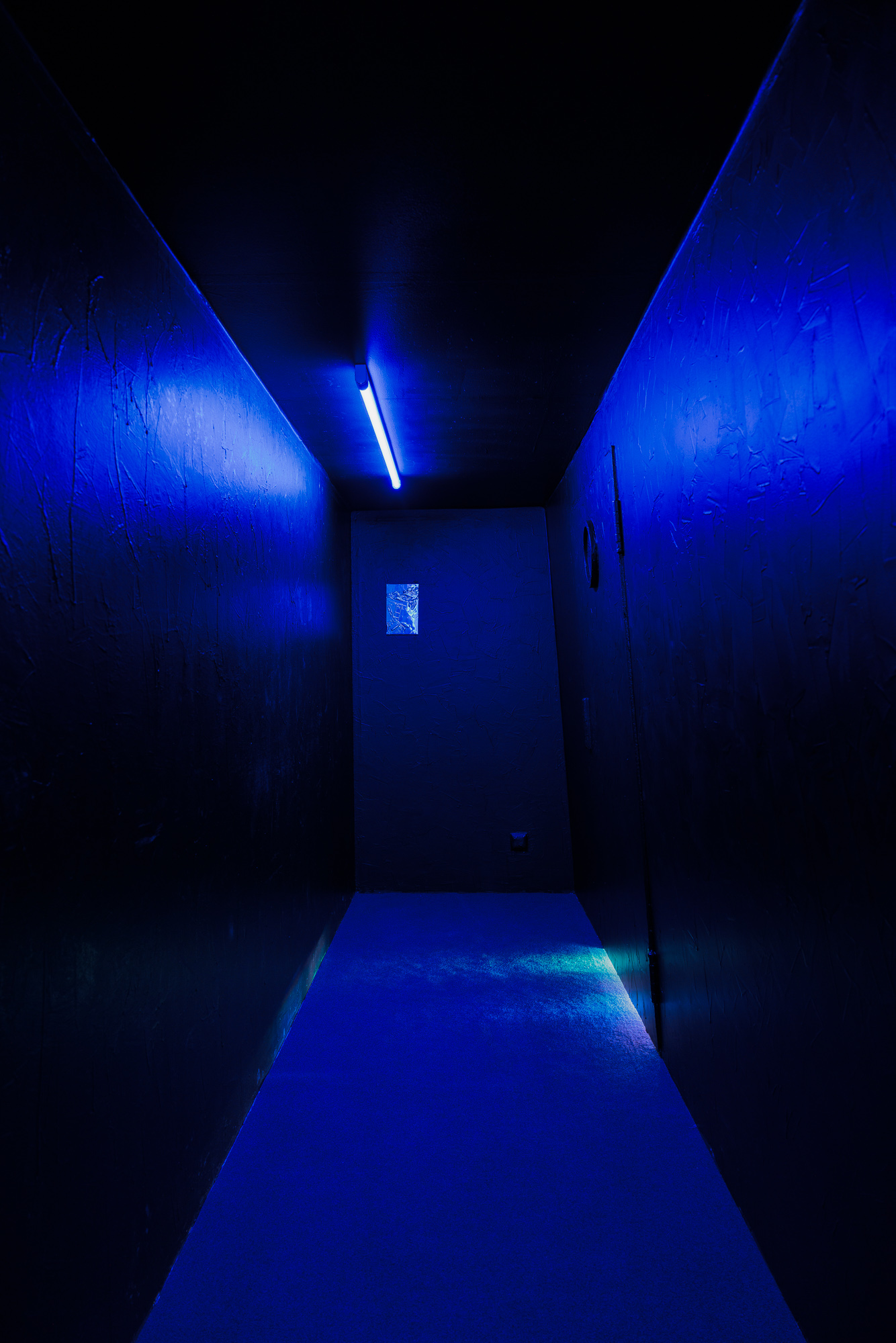 Ausstellungsansicht „Magdalena Berger. Certain Expectation“, 2026. Die Ausstellung wurde im Auftrag des Salzburger Kunstvereins produziert. Foto: kunst-dokumentation.com.